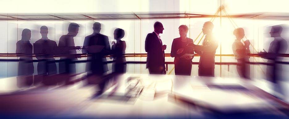 Government contractors