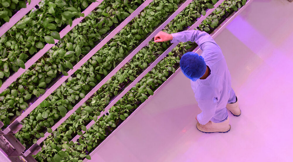 The Burgeoning Agtech Industry Needs Responsible Storytelling