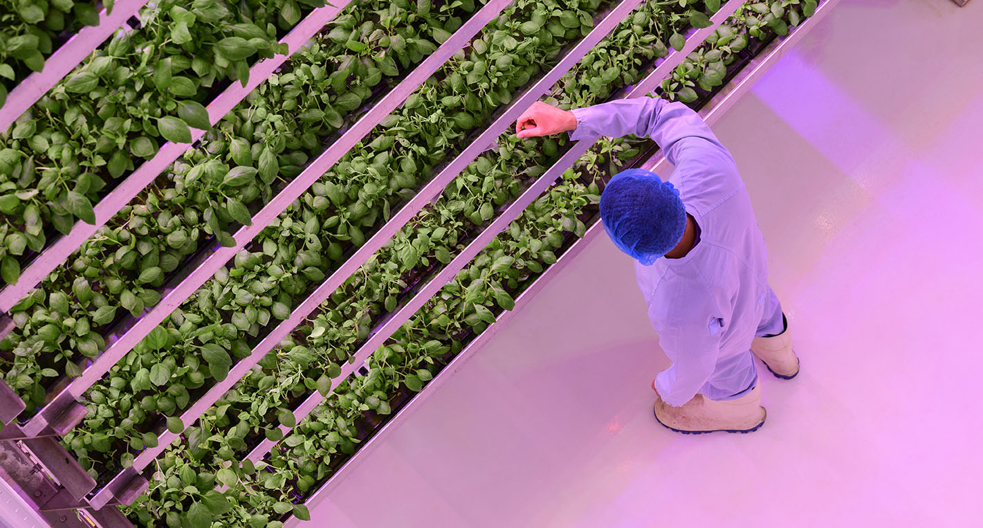 The Burgeoning Agtech Industry Needs Responsible Storytelling