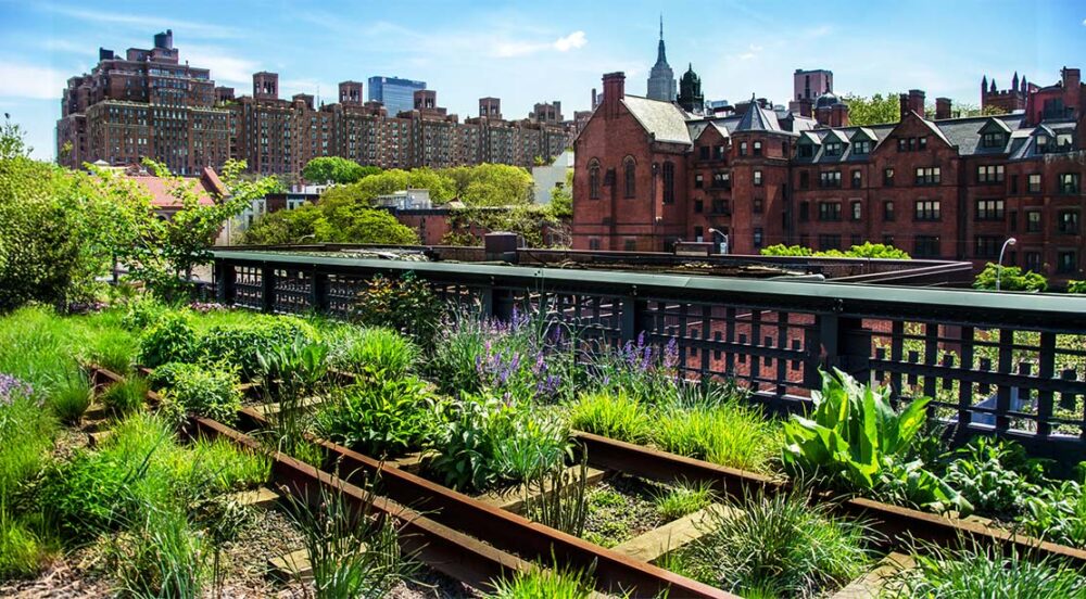 Green sustainable rooftop in urban environment