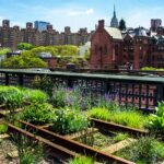 Green sustainable rooftop in urban environment