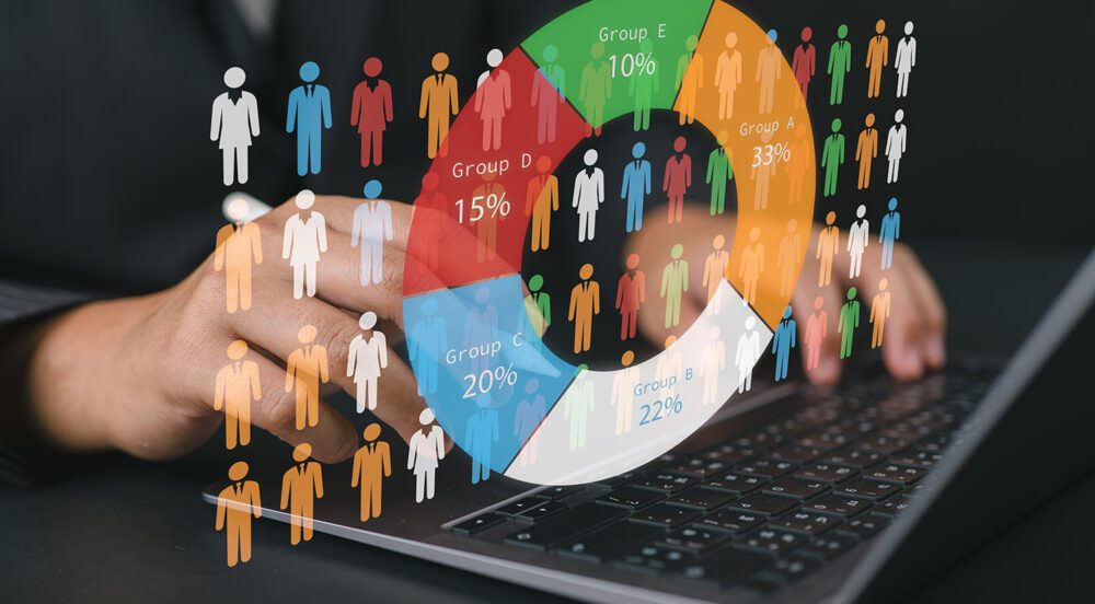 Demographic and audience analysis and data